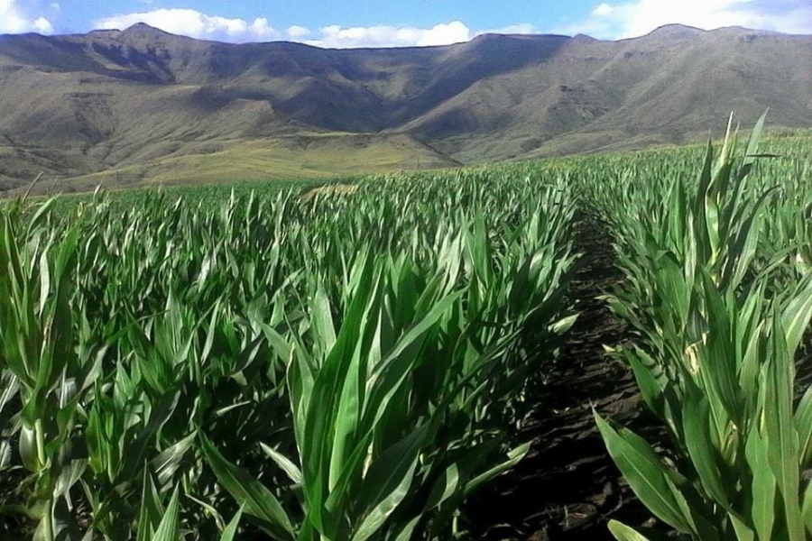 Commercial Property for Sale in Barkly East Eastern Cape